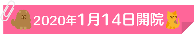 2020年1月開院